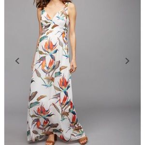 Pea In a Pod Maternity🤰 Dress